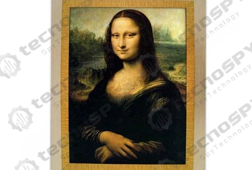 MONA LİSA TABLO KAMERA