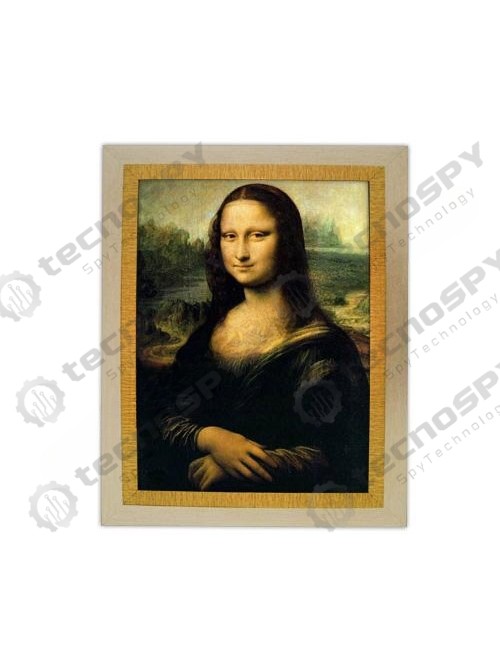 MONA LİSA TABLO KAMERA MONA LİSA TABLO KAMERA
