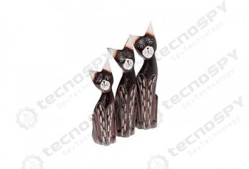 Sevimli Kedi Biblosu Kamera