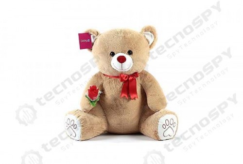 Oyuncak Peluş Ayı Kamera